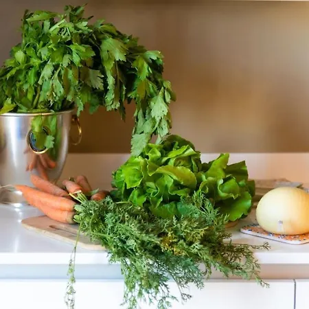 Charming Luxury Apartment: Center Apartamento